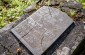 One of the last matzevot (tombstones) left at the Jewish cemetery of Sędziszów Małopolski. ©Piotr Malec/Yahad - In Unum